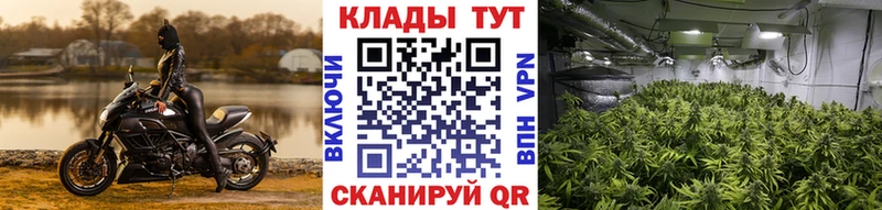 Купить Шарыпово Кокаин  Мефедрон  ГАШИШ  Псилоцибиновые грибы  Каннабис 
