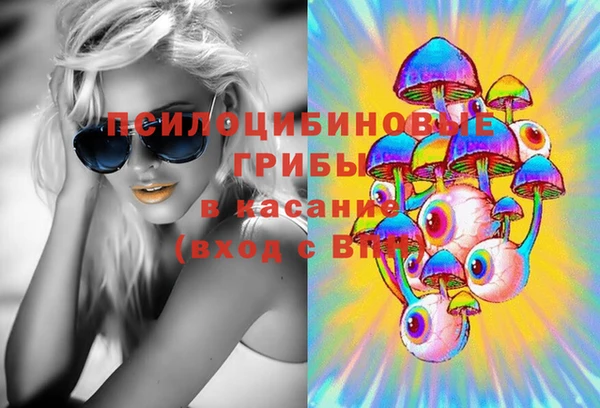 тгк Протвино