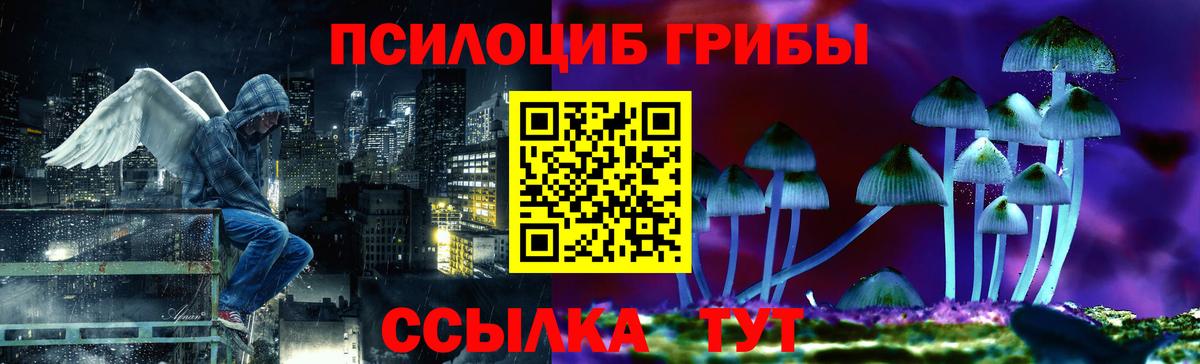 Галлюциногенные грибы ЛСД  Псилоцибиновые грибы мицелий  Шарыпово  Вход с VPN 